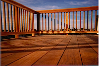 fence